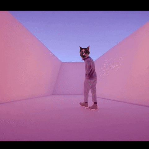 hotline bling cat GIF by Best Friends Animal Society