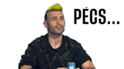 Alex Pecs Sticker by xfaktorhun
