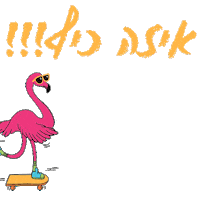 כלולה Sticker by caloola