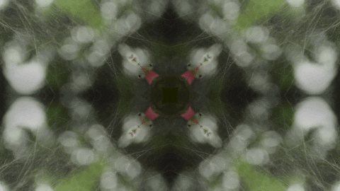 Art Love GIF by jorgemariozuleta