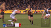 round 17 afl GIF by Adelaide Crows