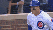 Chicago Cubs Sport GIF by MLB