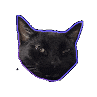 Whatever You Say Wtf Sticker by Rod Kim