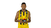 Ewe Baskets Basketball Sticker by EWE Baskets Oldenburg