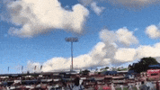 Bermuda Cupmatch GIF by Bermemes