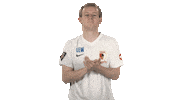 Fc Augsburg Fifa Sticker by Bundesliga