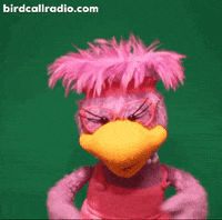BirdCallRadio sad sexy hug silly GIF