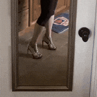 Le Ledance GIF