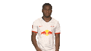 No Way Football Sticker by Bundesliga