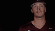 Littlerockbsb2021 GIF by Little Rock Athletics