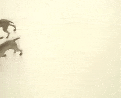 Fail William Wegman GIF by Jason Clarke