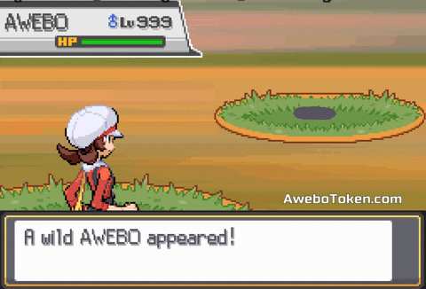 Fight Pokemon GIF