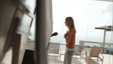 successinsider giphygifmaker timhan tim han success insider GIF