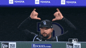 Major League Baseball Sport GIF by MLB