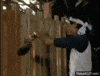 fence GIF