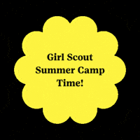 gswise summer camp girl scouts girl scout camp gswise GIF