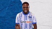 Bundesliga Berlin GIF by Hertha BSC