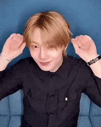 Seal Skz GIF