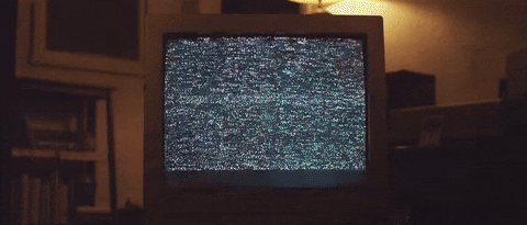 GIF by Burger Records