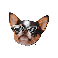 Dog No Sticker