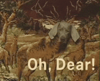 Nervous Oh My GIF by Jason Clarke