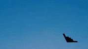 Air Force Homecoming GIF by Norwich University