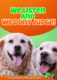 Listen Up Trending GIF by PetJuvenate - PJ