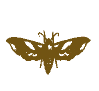 EvShadow fallen evanescence amy lee amylee Sticker