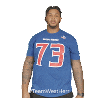 Buffalo Bills Sticker by West Herr