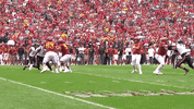 Football Catch GIF by CyclonesTV