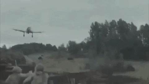 pinguin500 giphygifmaker GIF