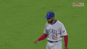 Cubs GIF by Marquee Sports Network