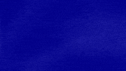 The Creator Tailor GIF by Jeopardy!