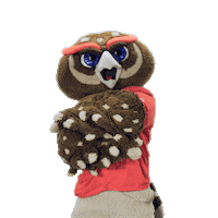 Fau Owls Sticker by Florida Atlantic University
