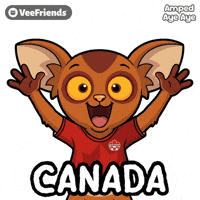 Excited World Cup GIF by VeeFriends