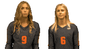 Sport Digging Sticker by Carson-Newman Athletics