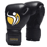 Sora Boxe Sticker by Champion Training Sanda Martial Art