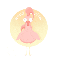 rorymcmanus animation illustration animated good morning GIF