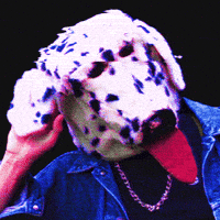 Dog Hello GIF