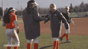 csu rams softball GIF by Colorado State Rams