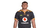 Rugby Sticker by Wasps