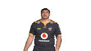 Rugby Sticker by Wasps