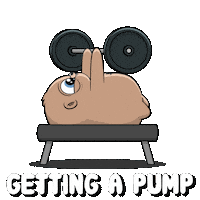 Work Out Sticker by Fugz Official