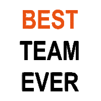 Teamwork Best Team Ever Sticker by designofficesfamilie