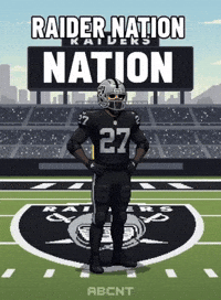 Football Nfl GIF by ABCNT