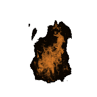 Fire Orange Sticker