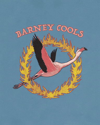 Flamingo GIF by Barney Cools