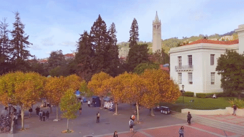 uc berkeley campus GIF by Cal