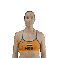 Dutch Team Beach Sticker by Nevobo