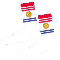 jimmylion happy funny sport fun Sticker